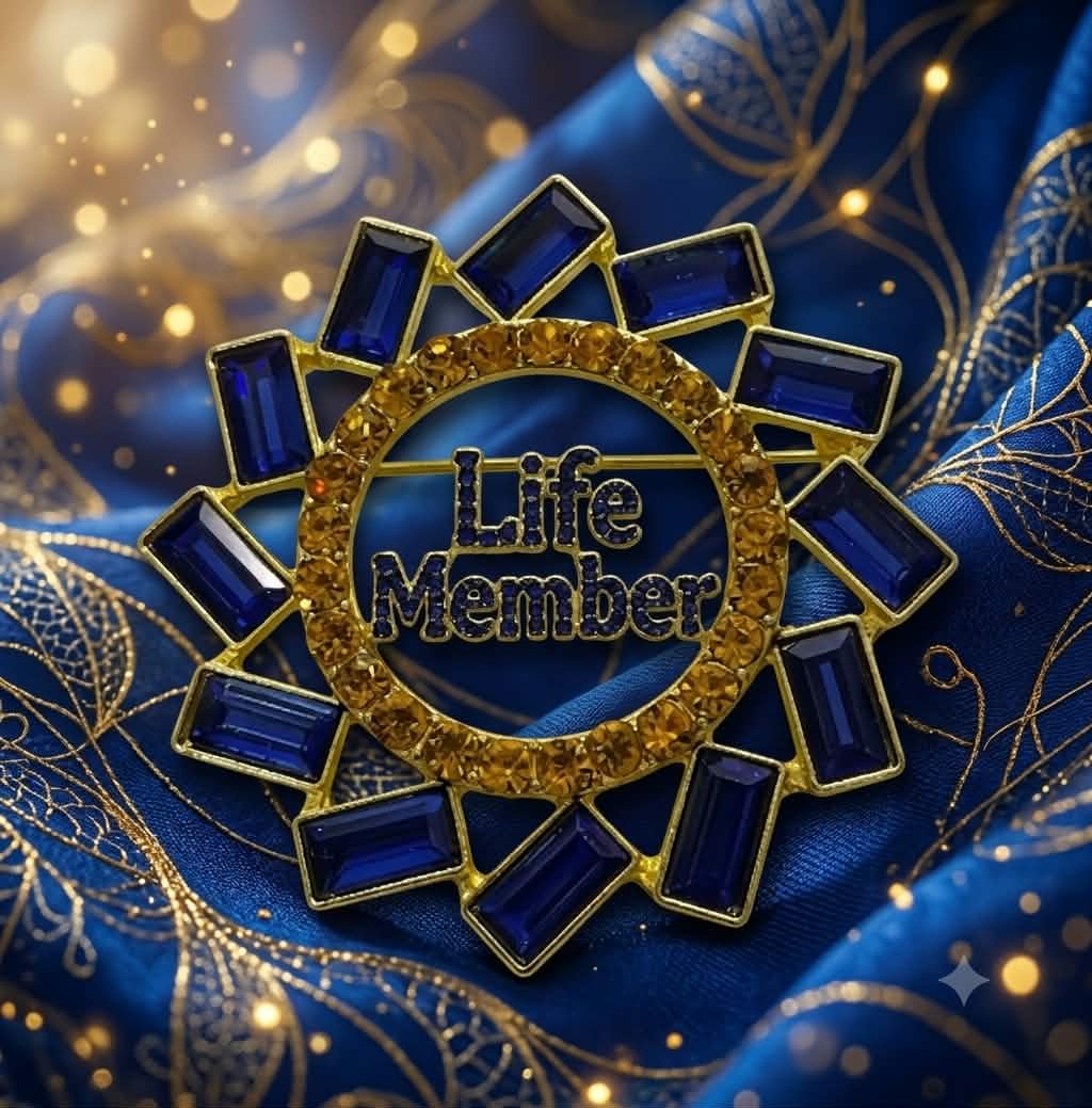 Burst Life Member Pin - Diva Starr Boutique