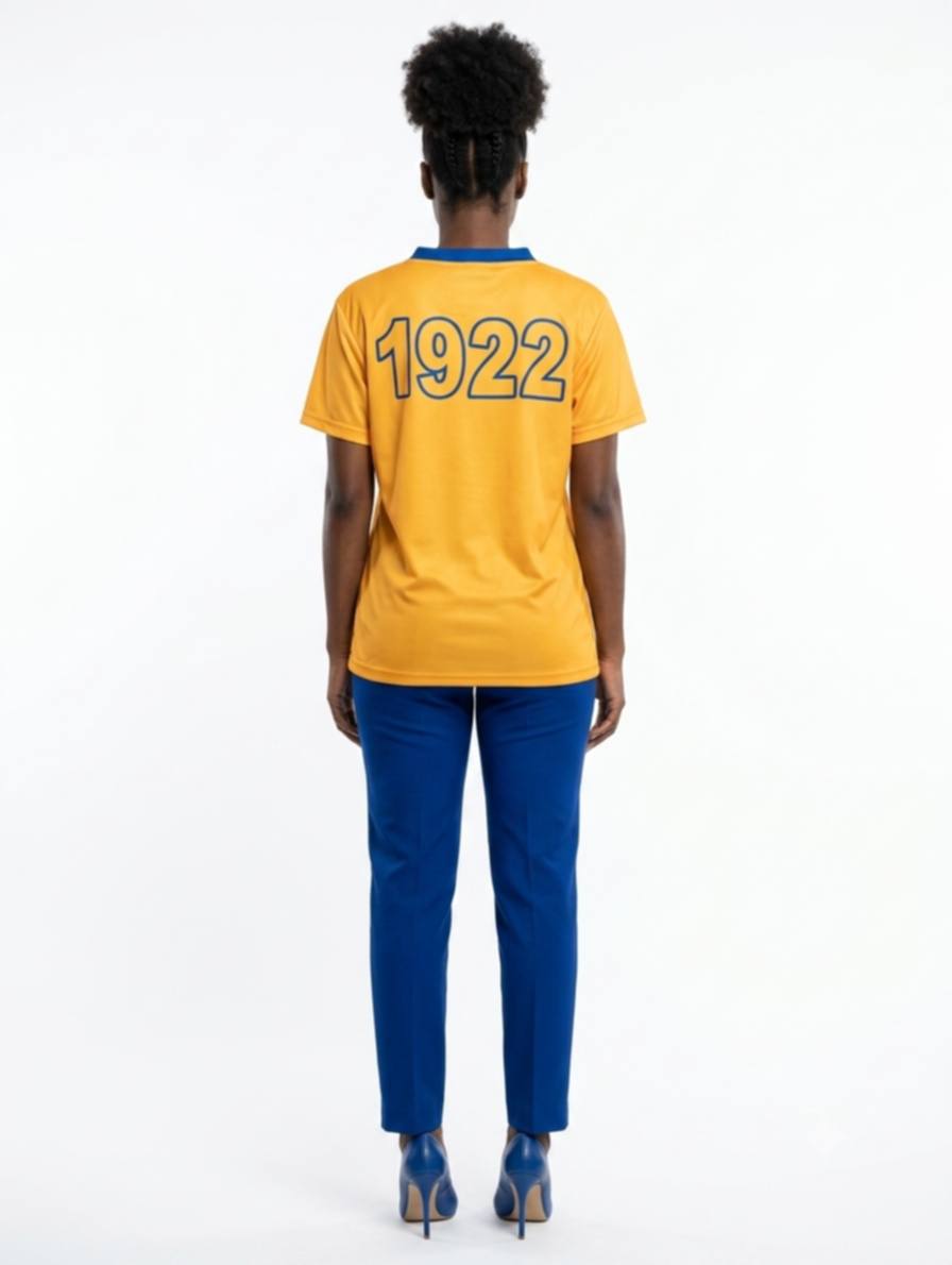 SGR V-Neck Tee - Diva Starr Boutique