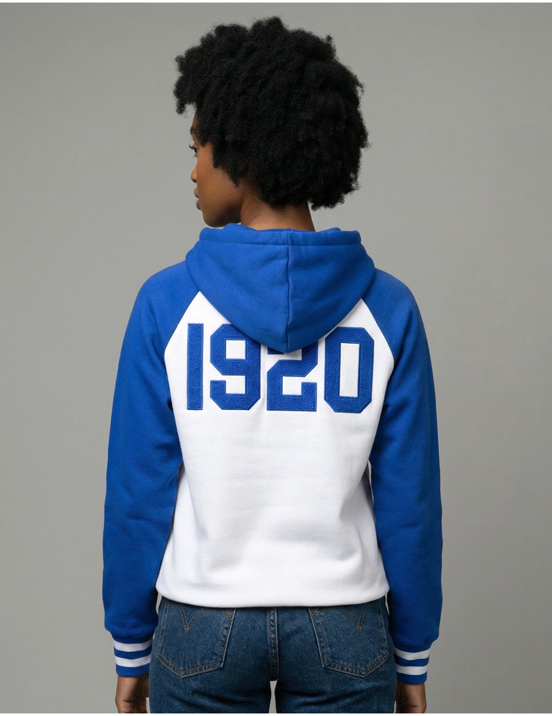 Zeta 2 Toned Hoodie (Ships 2-28-26) – Diva Starr Boutique